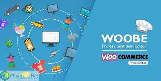 7-1.jpeg WOOBE – WooCommerce Bulk Editor and Products Manager Professional - Image 1