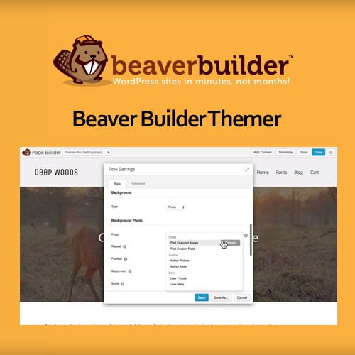 Beaver-Builder-Themer.jpg Beaver Builder Themer - Image 1