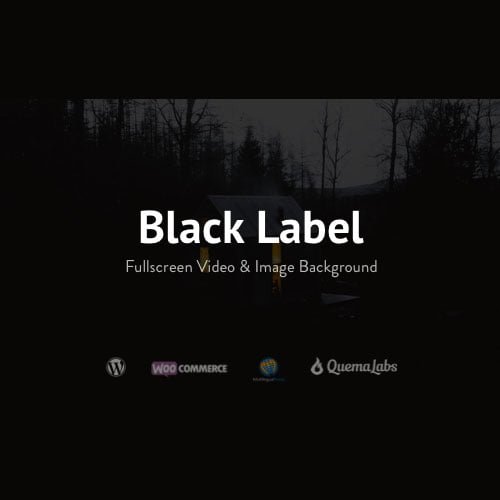 Black-Label-Fullscreen-Video-Image-Background.jpg Black Label - Fullscreen Video & Image Background - Image 1