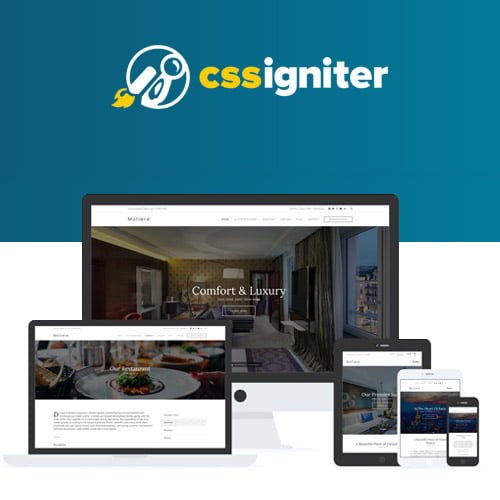 CSS-Igniter-Moliere-WordPress-Theme.jpg CSS Igniter Moliere WordPress Theme - Image 1