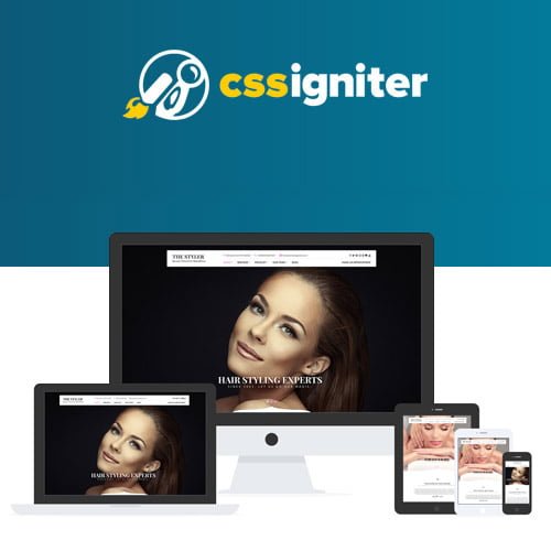 CSS-Igniter-The-Styler-WordPress-Theme.jpg CSS Igniter The Styler WordPress Theme - Image 1