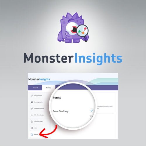 MonsterInsights-Forms-Tracking-Addon.jpg MonsterInsights - Forms Tracking Addon - Image 1