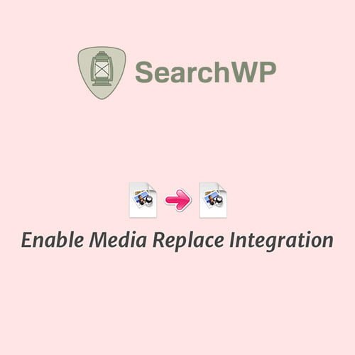 SearchWP-Enable-Media-Replace-Integration.jpg SearchWP Enable Media Replace Integration - Image 1