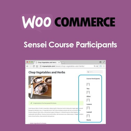 Sensei-Course-Participants.jpg Sensei Course Participants - Image 1