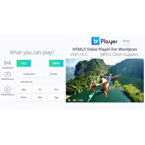 bzplayer-Pro-Live-Streaming-Player-WordPress-Plugin.jpg bzplayer Pro - Live Streaming Player WordPress Plugin - Image 1